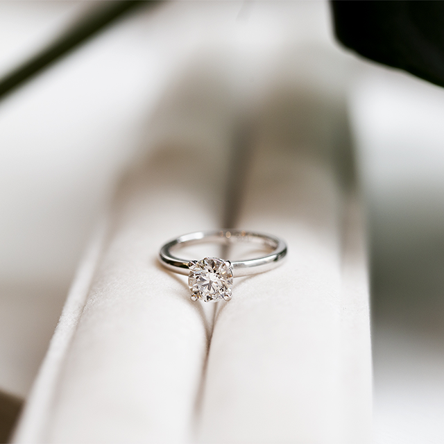 求婚租借 1 手機版 求婚租借1